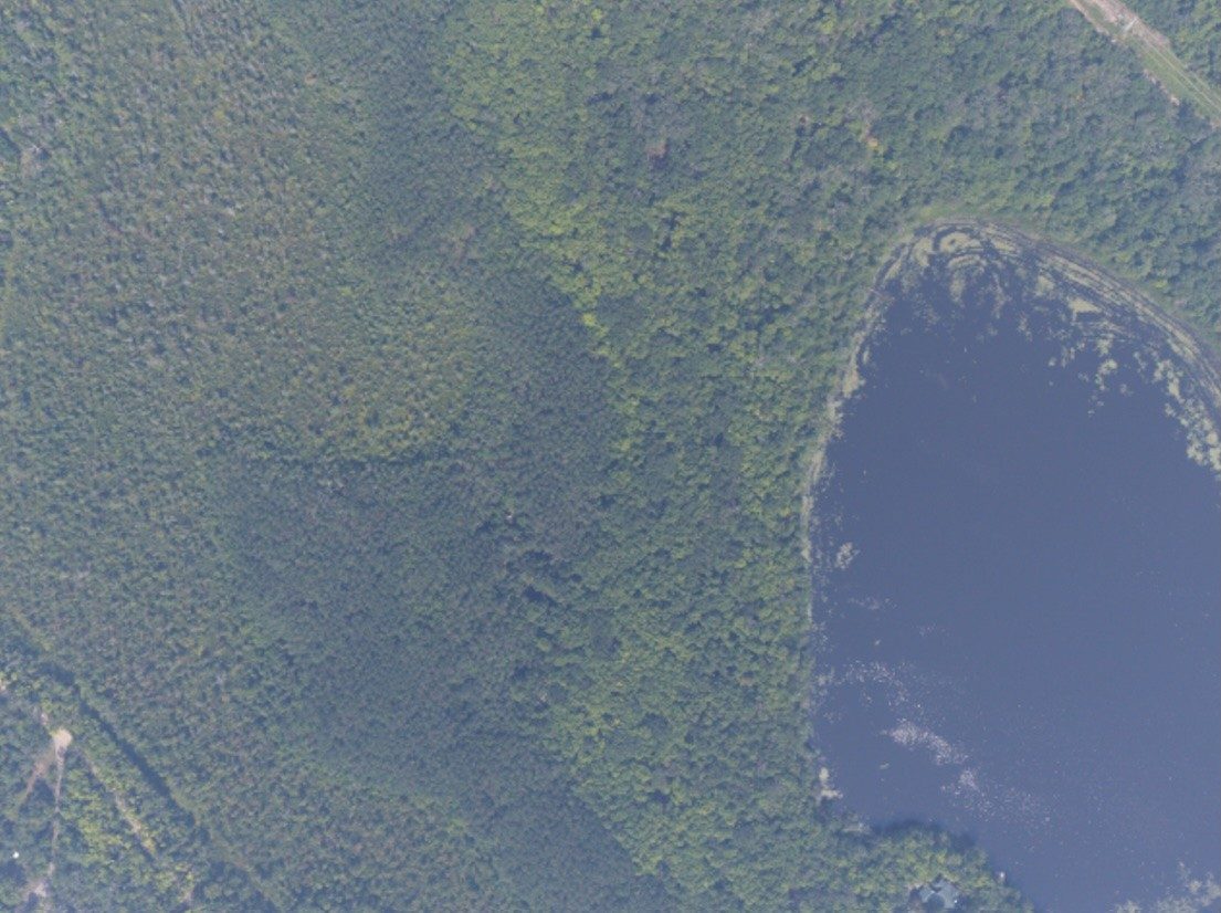 Aerial photo of forest and lake