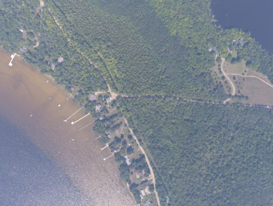 Aerial photo of forest top