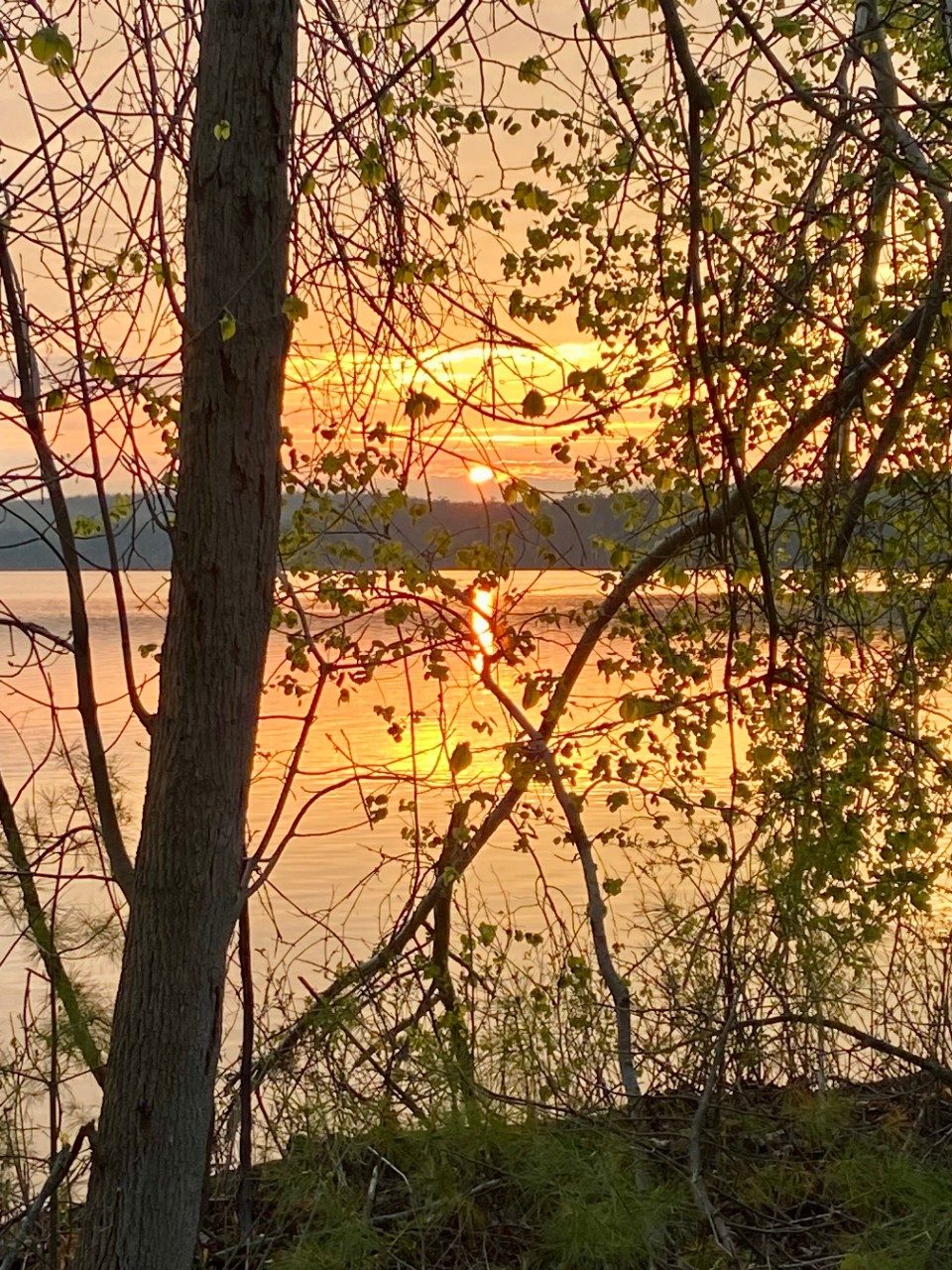 Sunrise along a lake