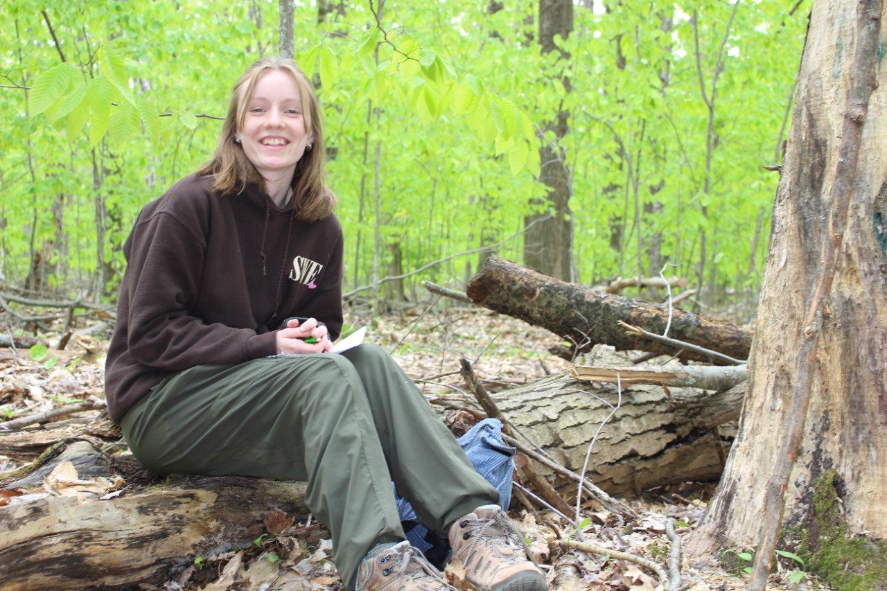 Person sitting on a fallen tree trunk in the woods