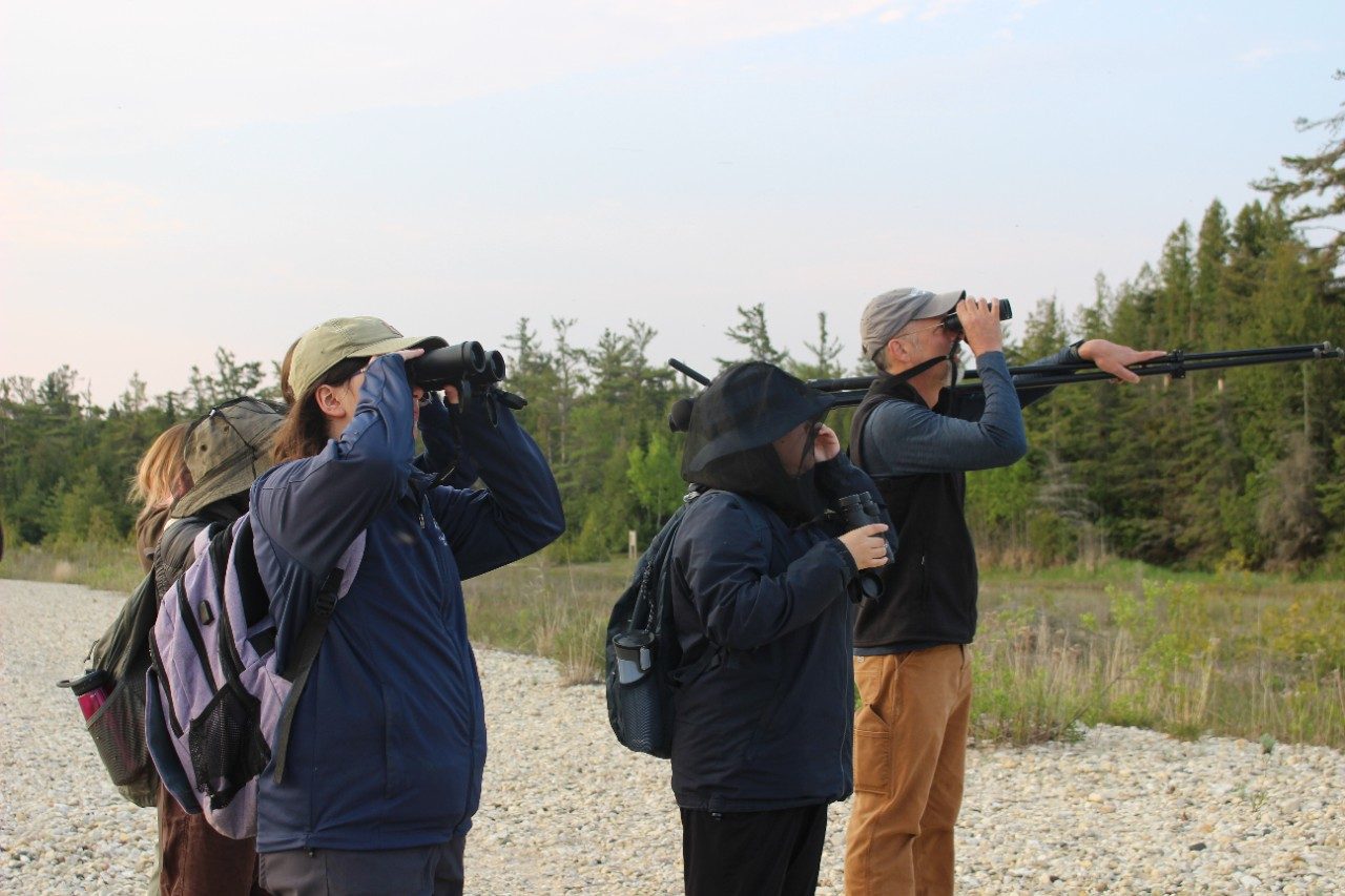Group of people looking at birds through binoculars in a forest