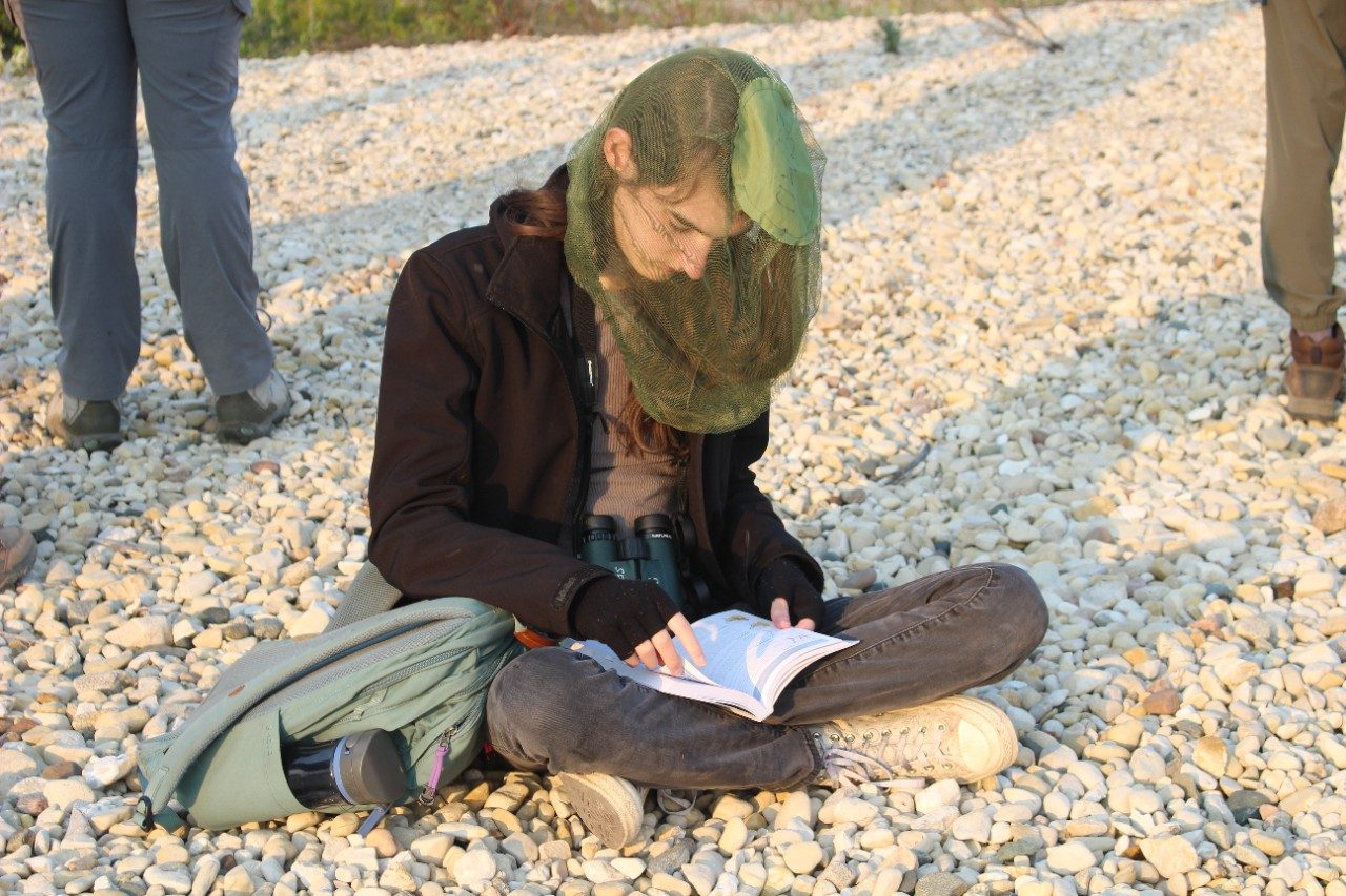Person sitting on beach with net over head