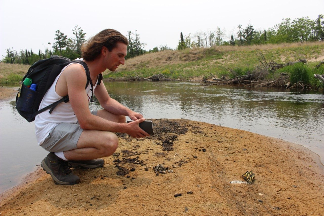 Person crouched down in the sand along a river looking at butterflies