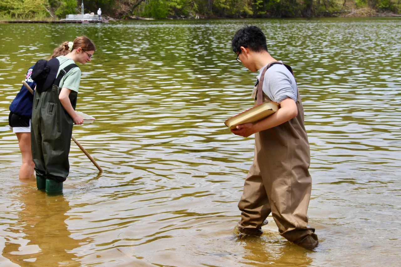 People wearing waders in lake
