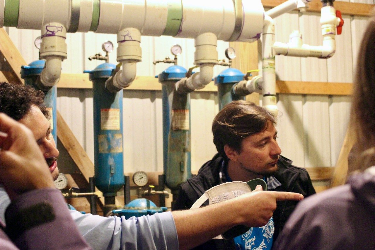 People in an industrial facility