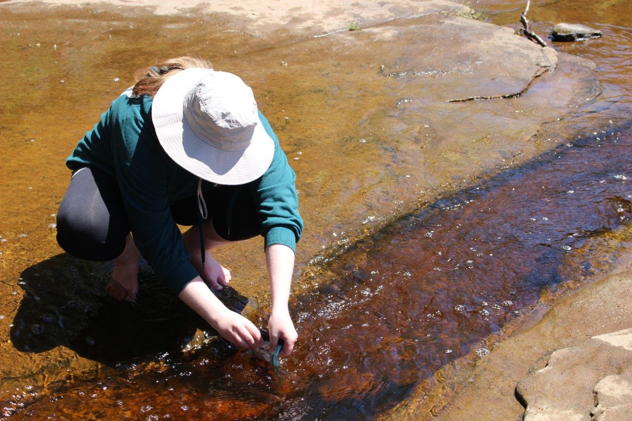 Person taking video of a stream with a phone camera