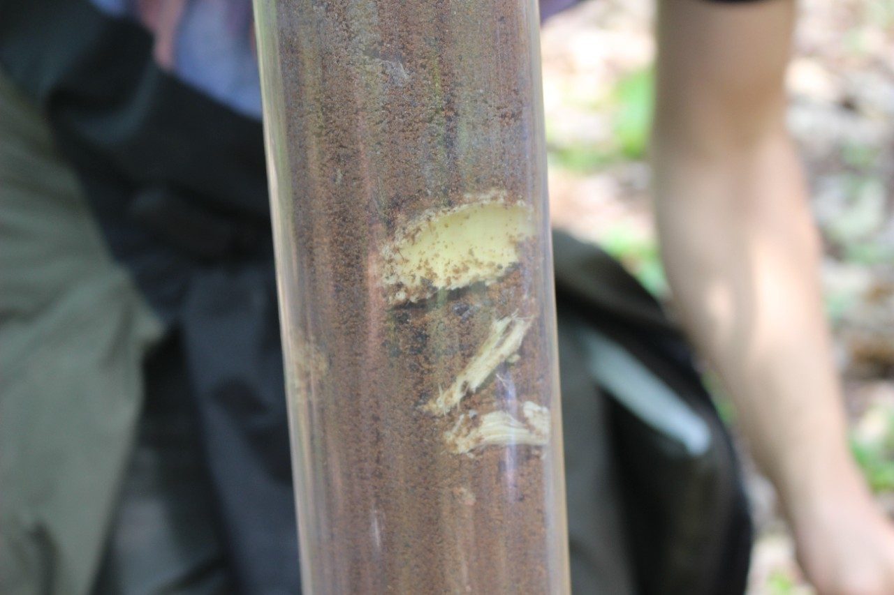 Tube full of soil