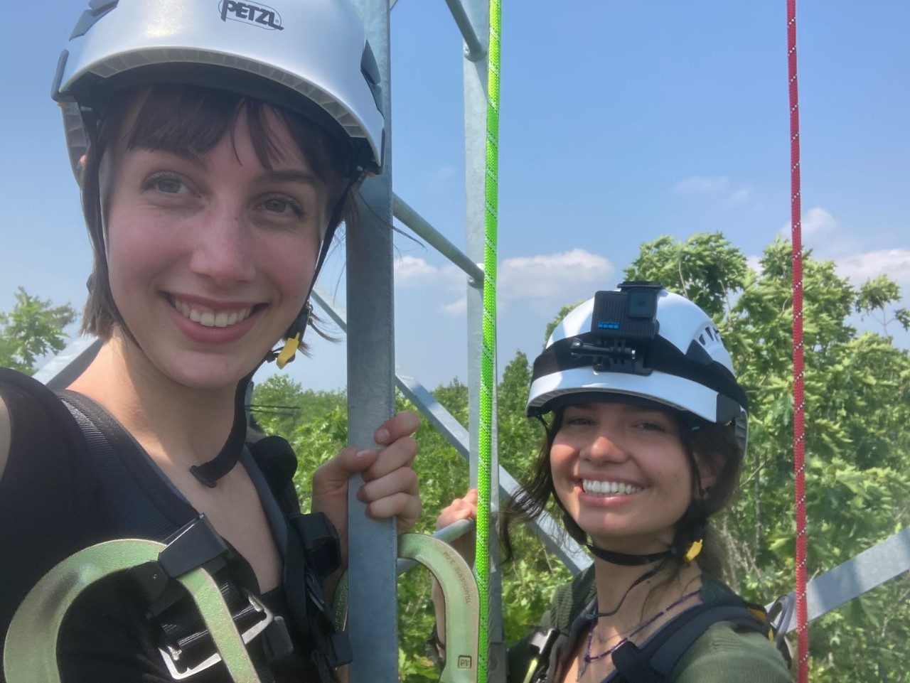 People in harnesses on a tower ladder