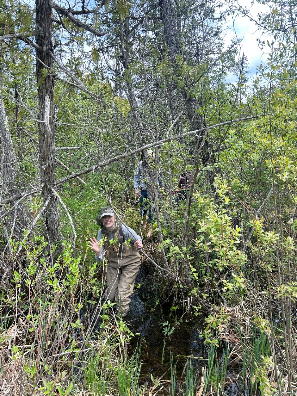 People in waders walking through a bog in a forest