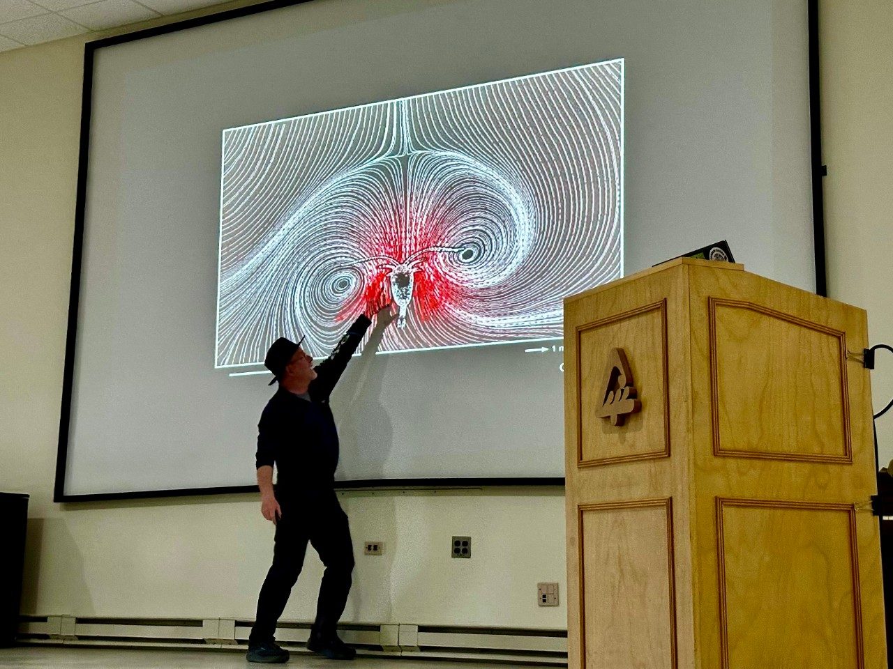 Man pointing at a picture on a big screen