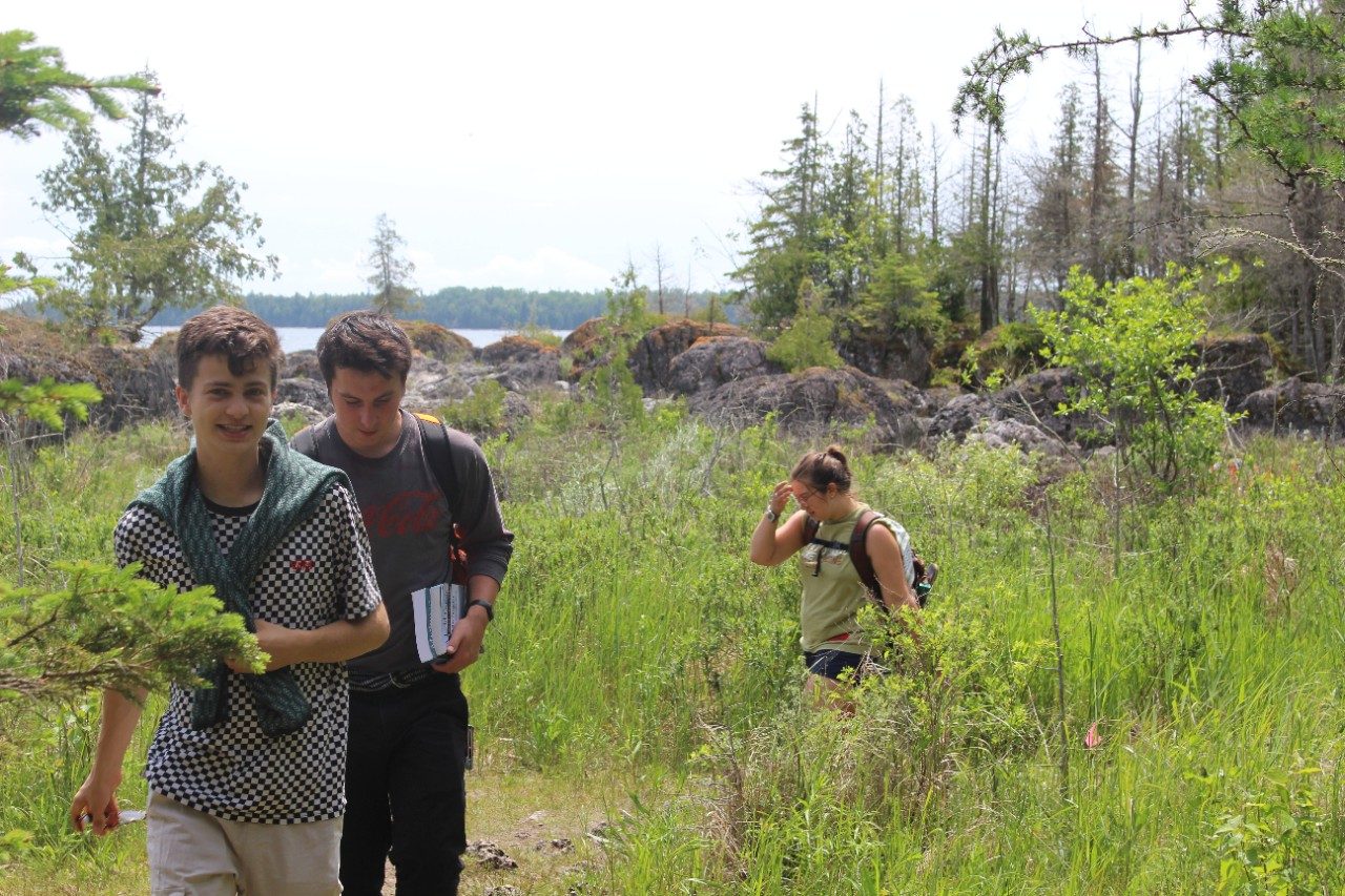 People walking through nature