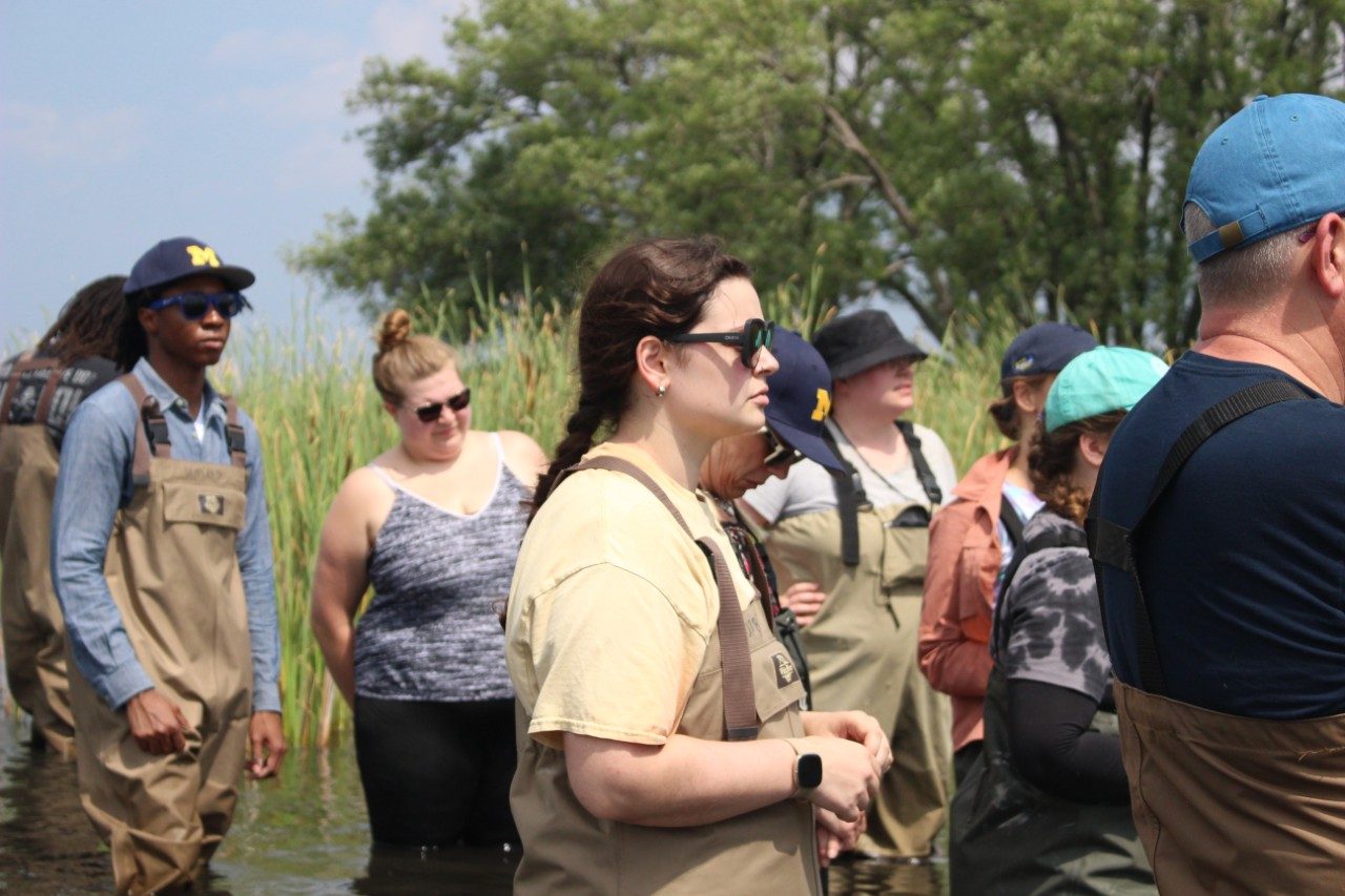 People wearing waders in a marsh