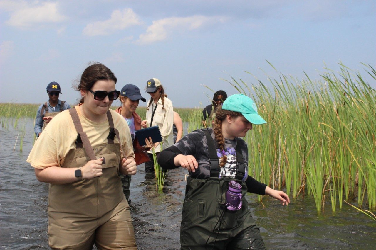 People wading through a marsh