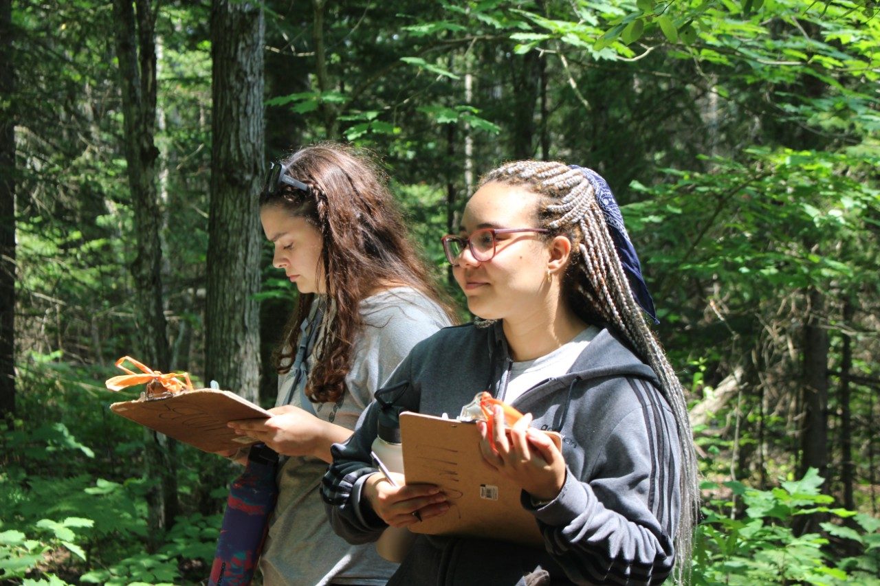 People taking notes in a notebook in the woods