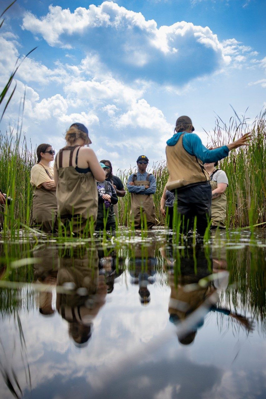 People wearing waders and standing up to their knees in water at a marsh