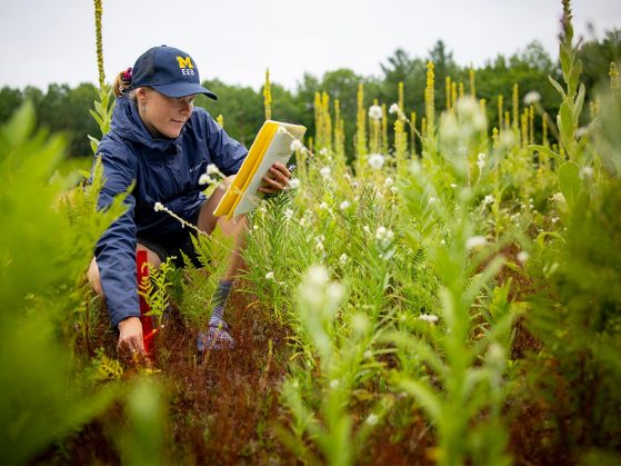 Woman doing research in a field 