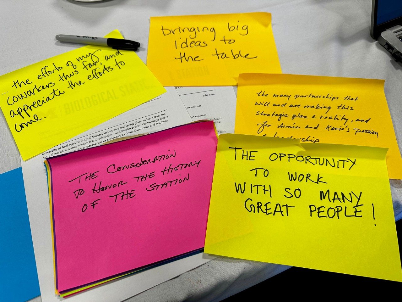 Colorful sticky notes with messages written on them