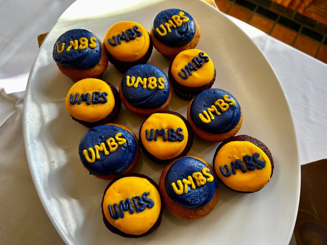 Cupcakes that have "UMBS" written on them