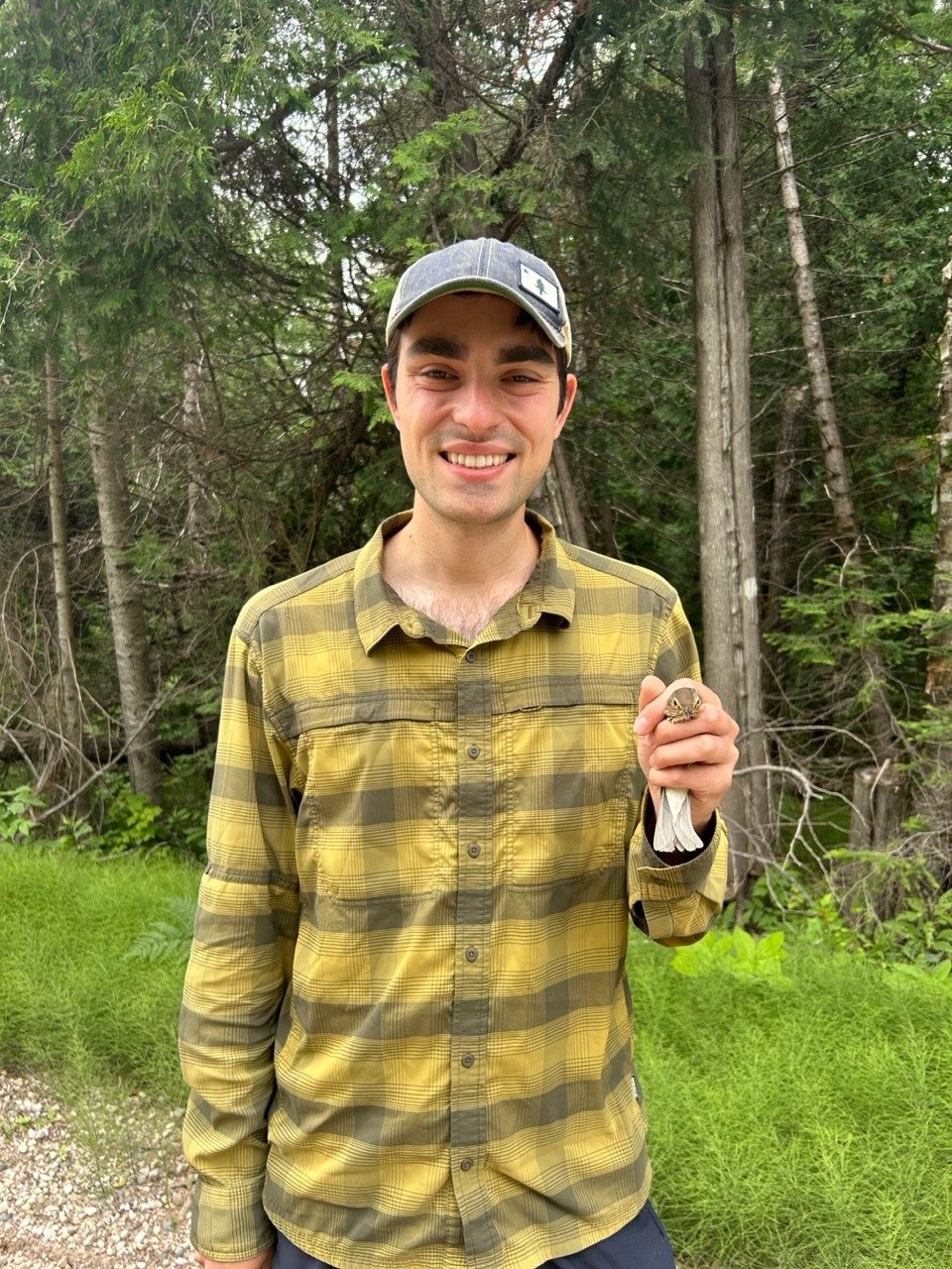 Person holding a bird