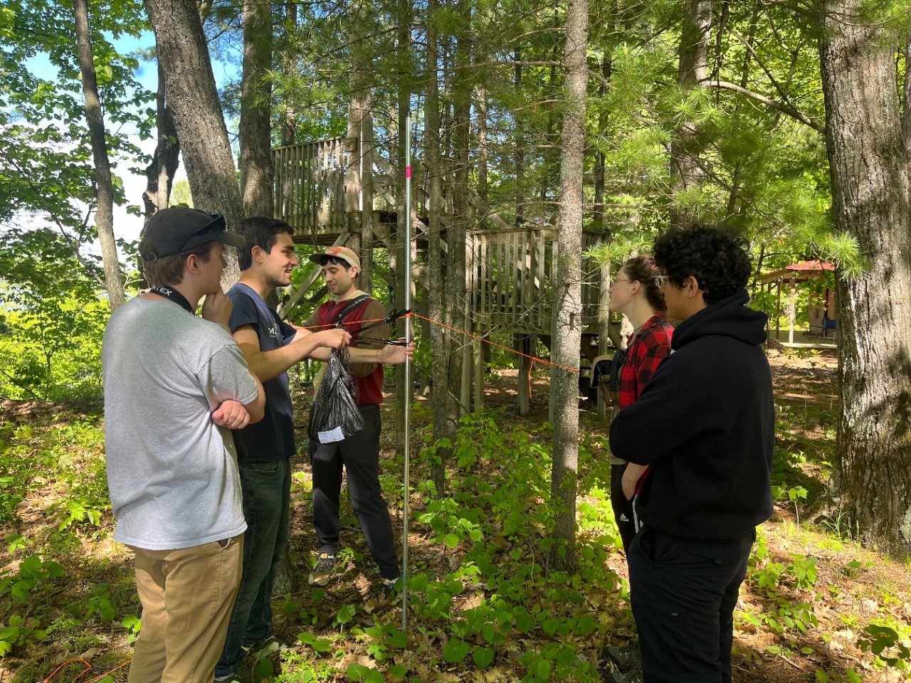 People in a forest setting up a net