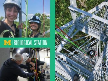 Photo montage of people climbing a tower