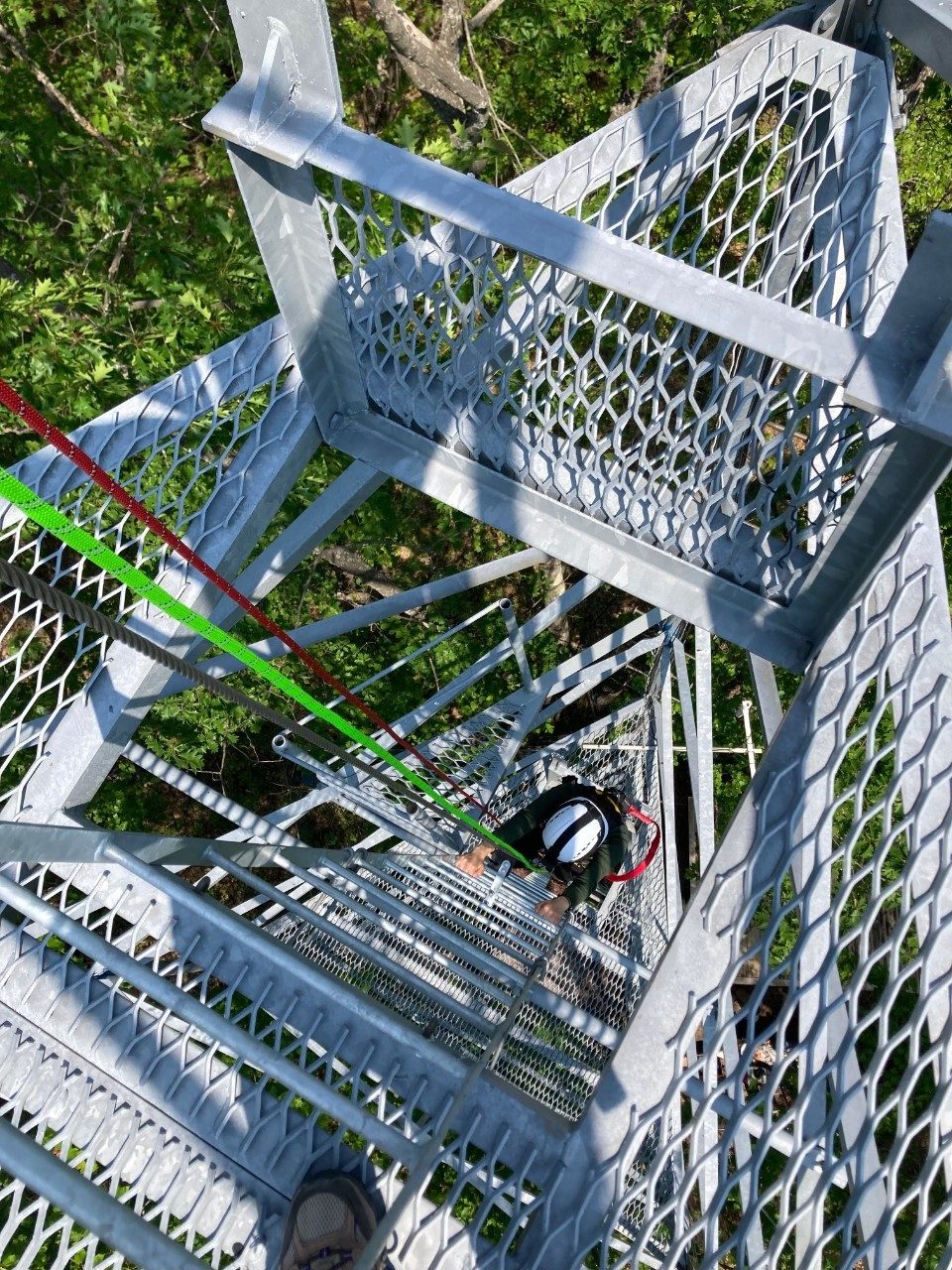 Person climbing a ladder up a tower in a forest