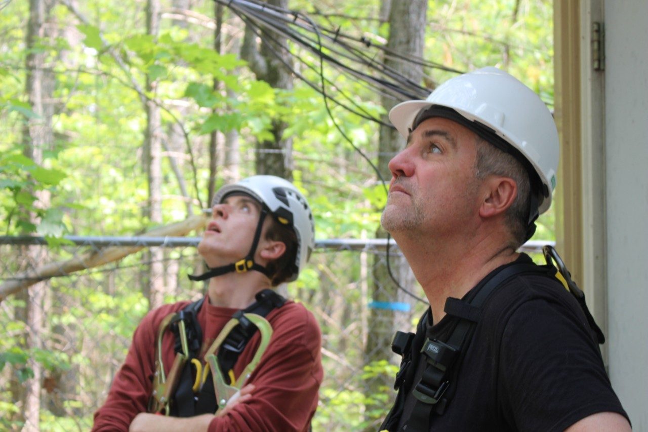 Two people in a forest looking up at the sky