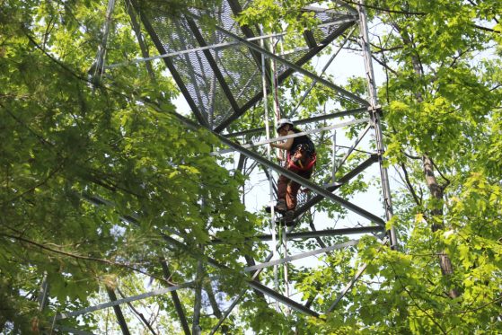 Person climbing tower in the woods