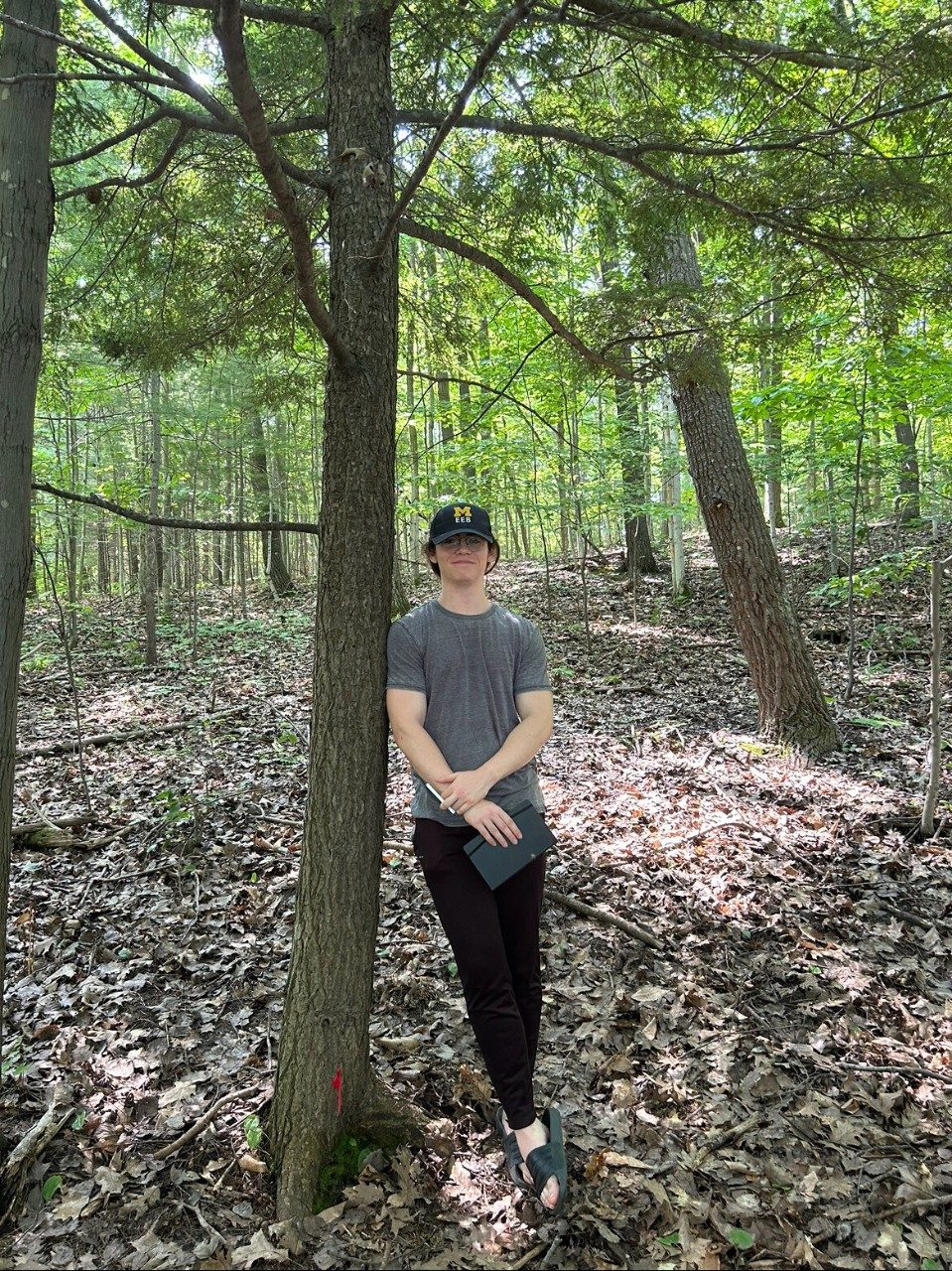 Man next to a tree in a forest