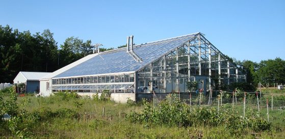 A steel and glass greenhouse is shown in a field.