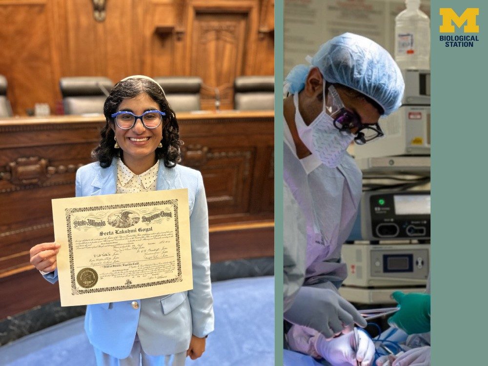 A lawyer in a courtroom and a doctor in a hospital