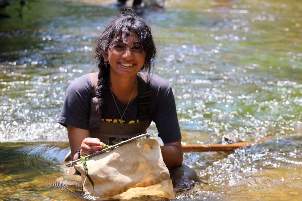 Woman crouched in the water holding a net