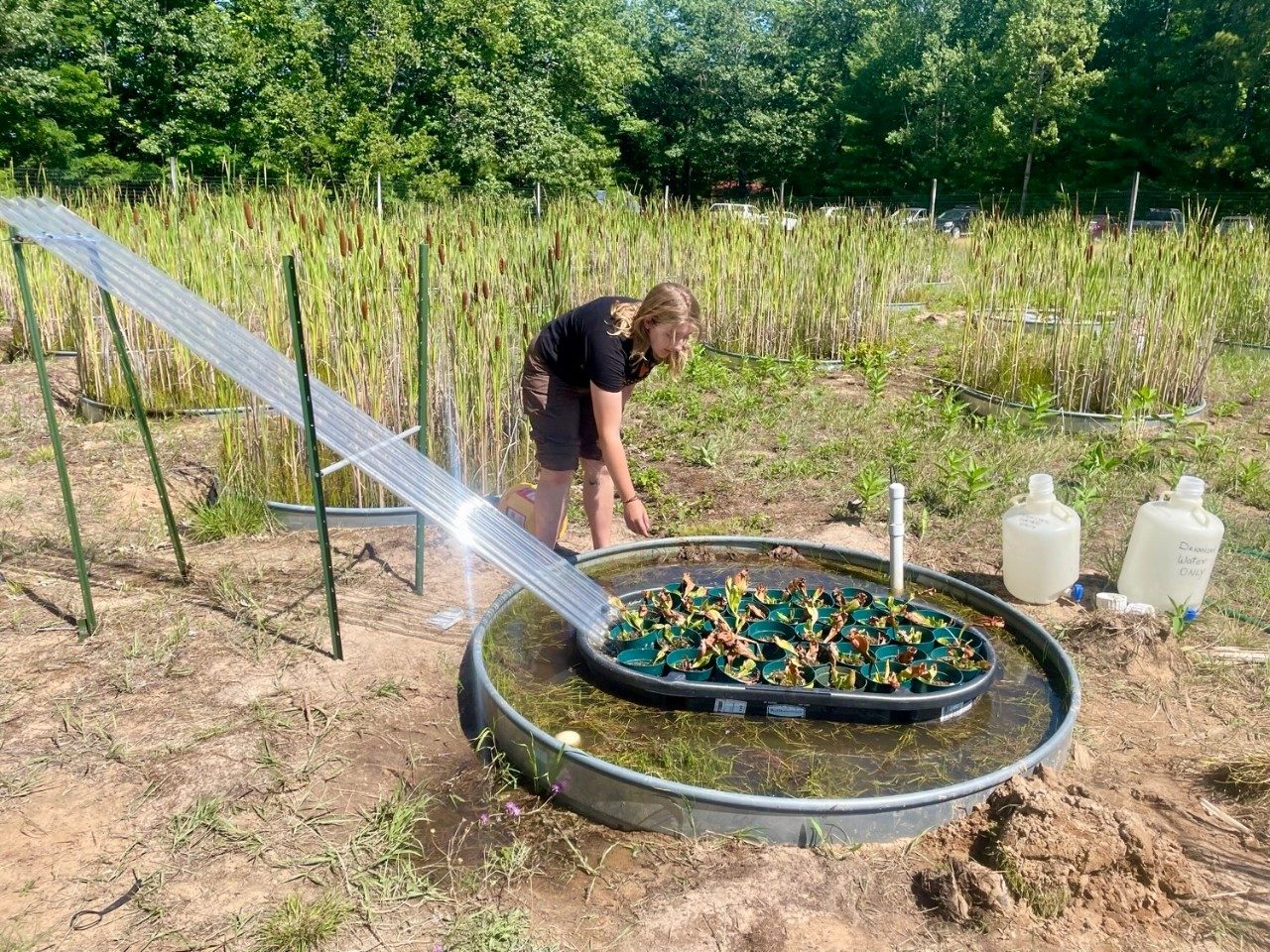 Person working in an outdoor lab
