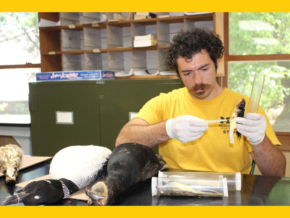 Man handling a dead bird