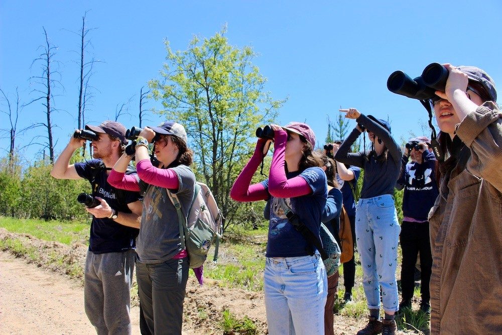 Group of people looking through binoculars