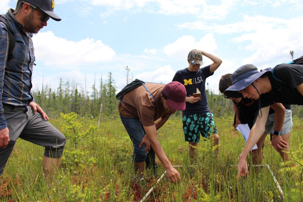 People in a bog taking measurements