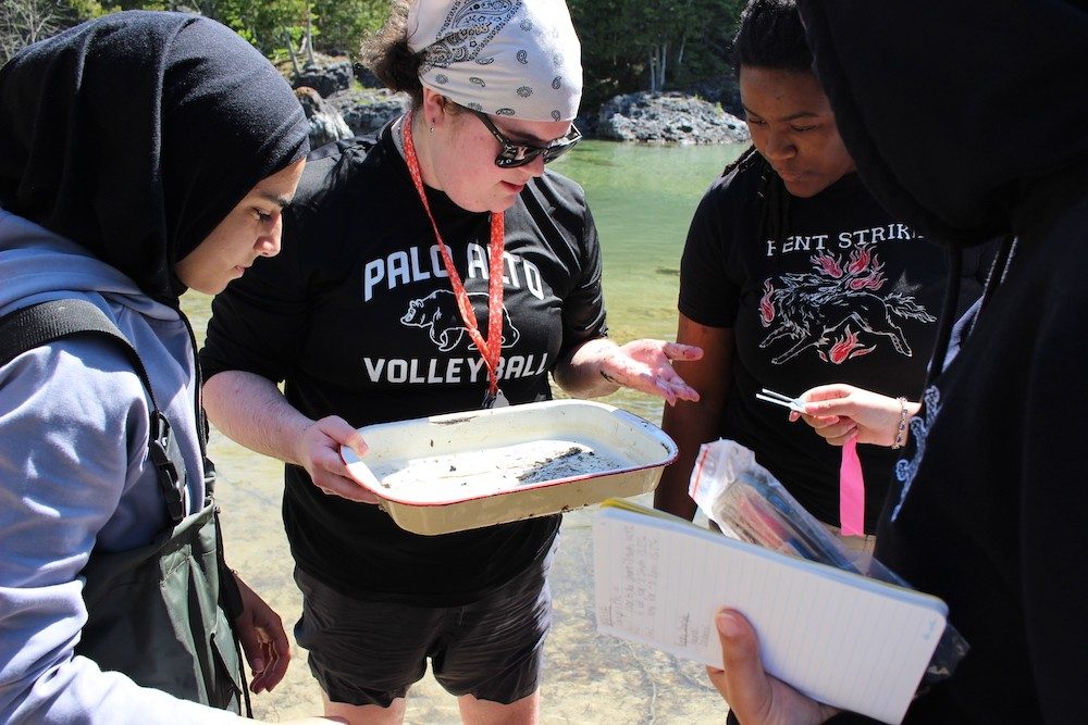 People looking at a dish of aquatic organisms