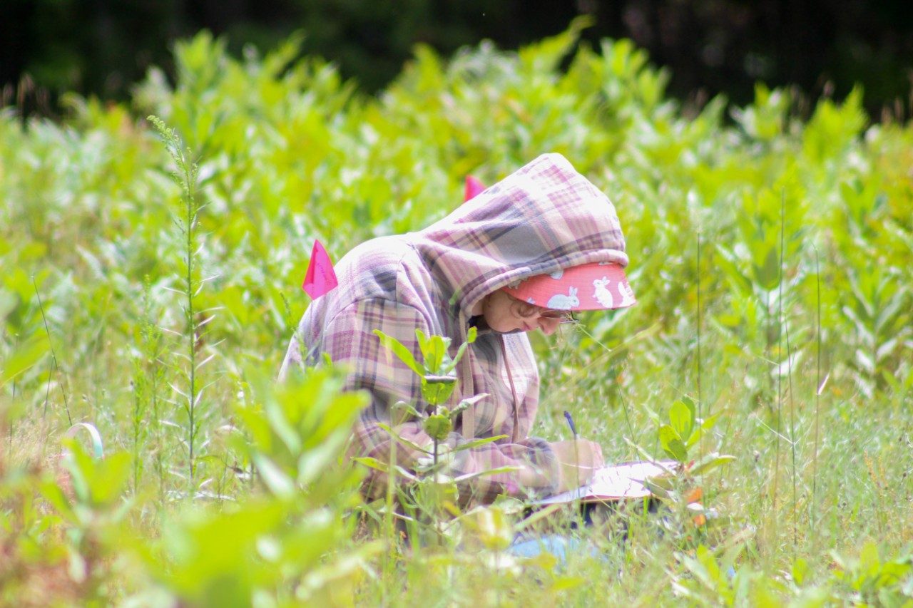 Person sitting in the grass and writing in a notebook