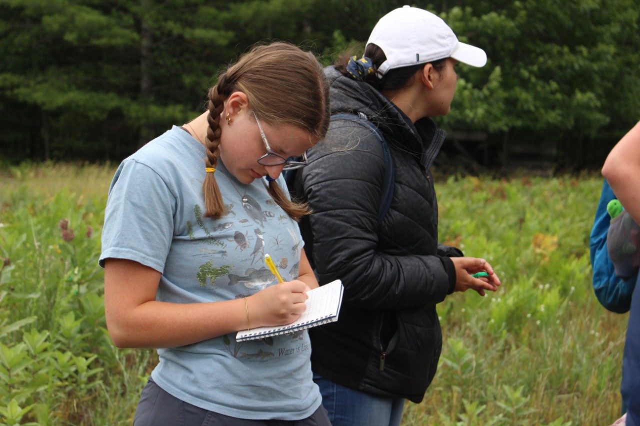 Woman taking notes in a notebook in a field