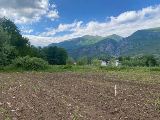 Zhani summer Kosova