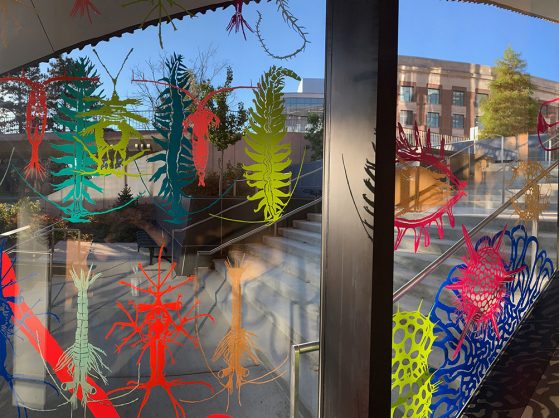 Unseen Worlds microbe graphics on museum windows.