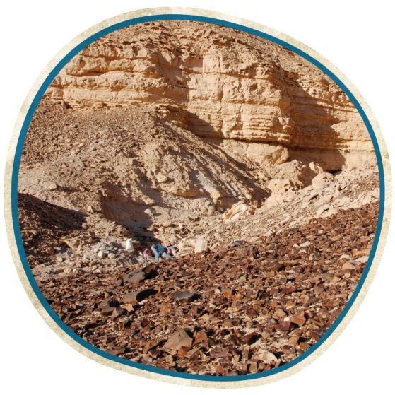 Zhao research station graphic 